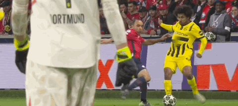 1741824279441065425.gif 1741824279441065425.gif